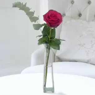 Luxury Single Red Rose & Bud Vase 