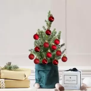 Little Christmas Tree with 14 Christmas Red baubles & 6 Mixed Truffles