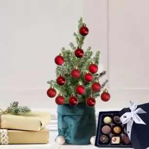 Little Christmas Tree with 14 Christmas Red baubles & Box of 9 Chocolates