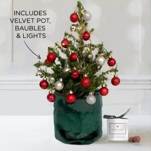 Mini Christmas Tree with Christmas Red & Silver Baubles & 6 Mixed Truffles