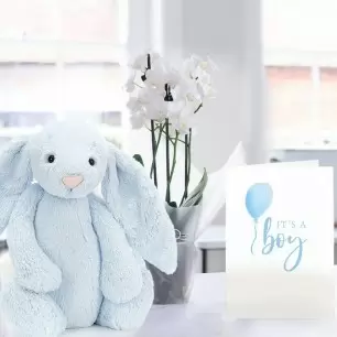 White Mini Orchid, Jellycat Blue Bunny & New Baby Boy Card 