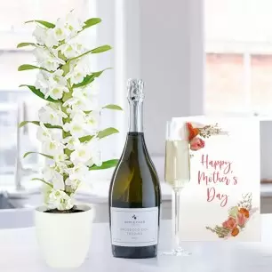 White Scented Dendrobium, Appleyard Prosecco & Mother's Day