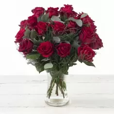 12-24 Large Headed Red Roses