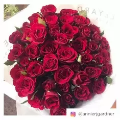 50 Luxury Red Roses