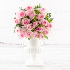 12-24 Sorbet Roses