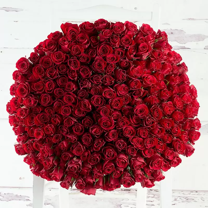 200 Luxury Red Roses