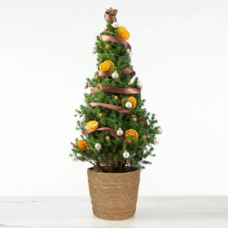 Alluring Amber Christmas Tree 