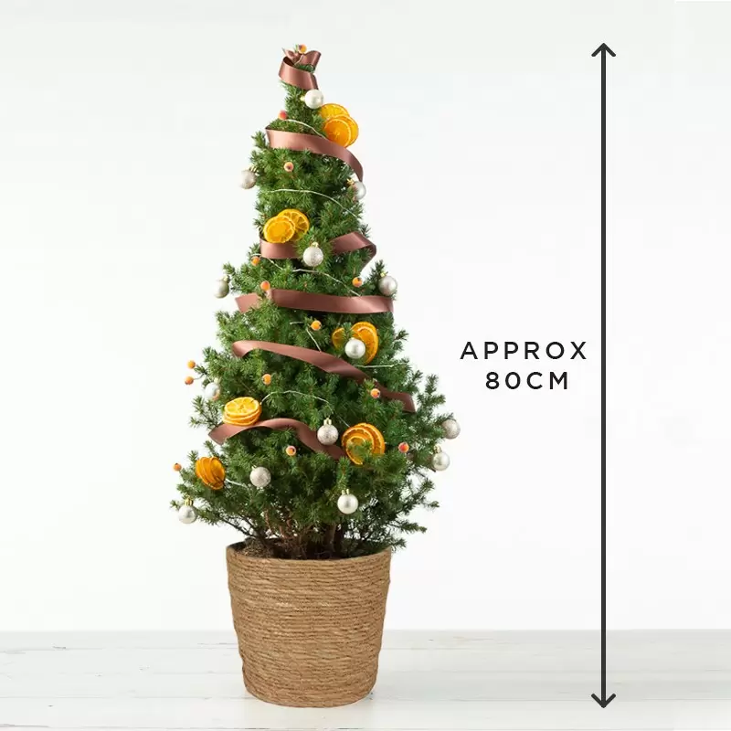 Alluring Amber Christmas Tree 