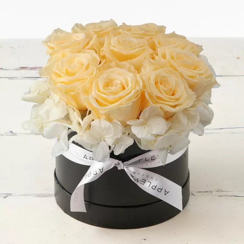 Champagne Rose & White Hydrangea Hatbox (Lasts Up To A Year)