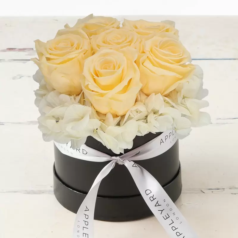 Champagne Rose & White Hydrangea Hatbox (Lasts Up To A Year)