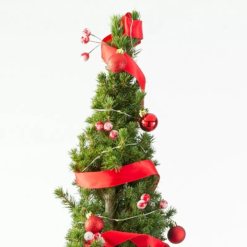 Christmas Adorn Christmas Tree