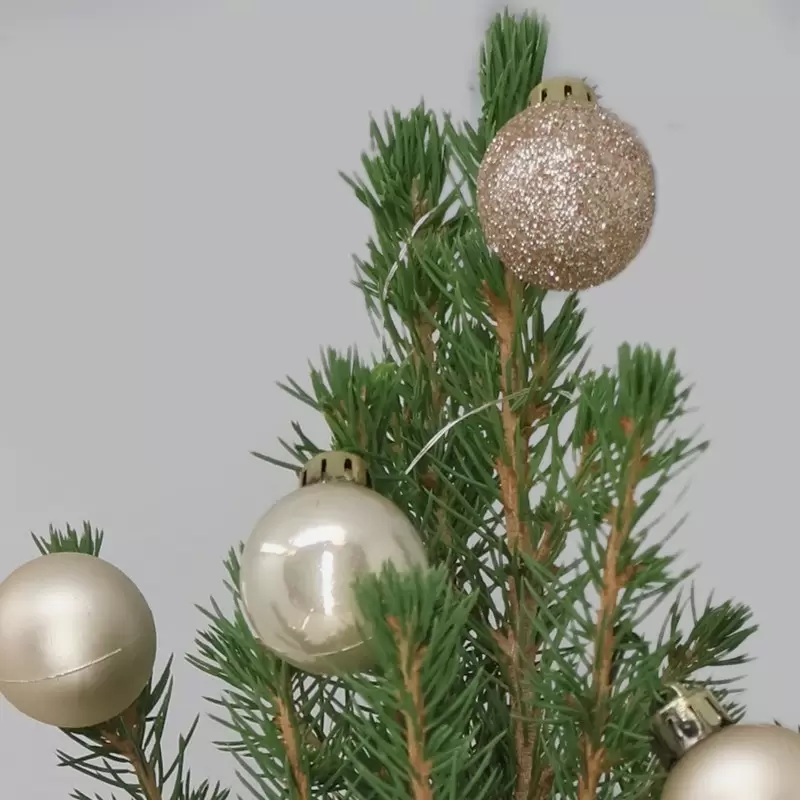 Medium Christmas Tree with 14 Champagne Baubles