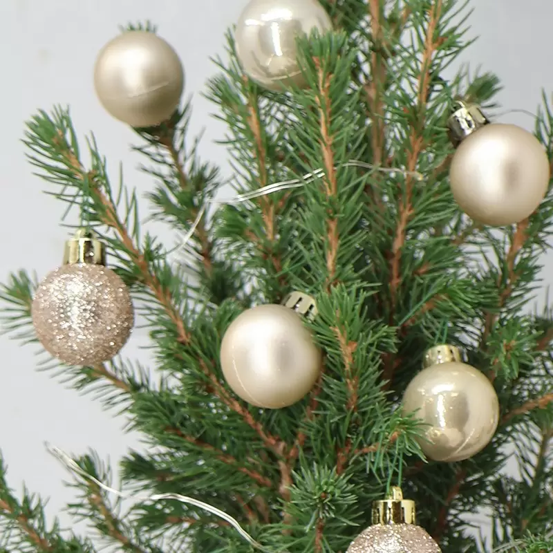 Medium Christmas Tree with 14 Champagne Baubles