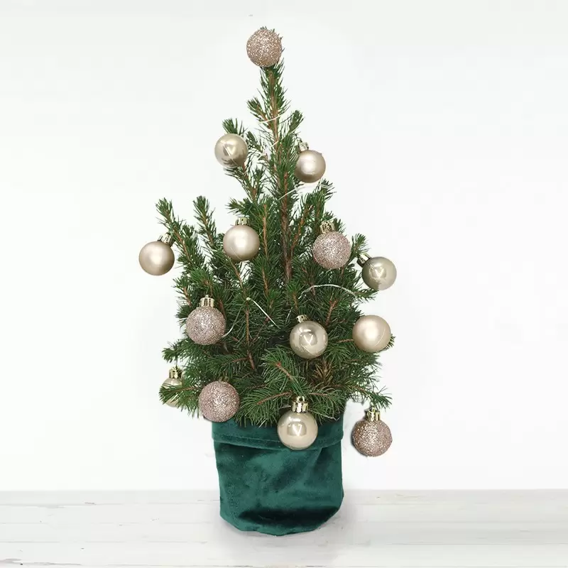 Little Christmas Tree with 14 Champagne Baubles
