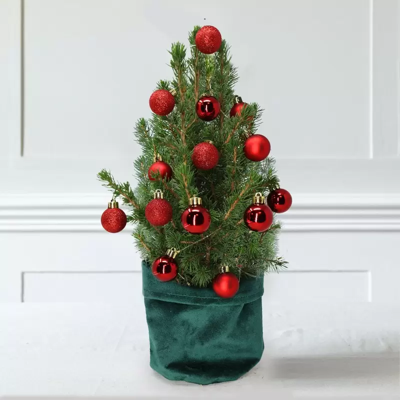 Little Christmas Tree with 14 Christmas Red Baubles
