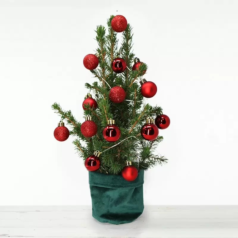 Little Christmas Tree with 14 Christmas Red Baubles