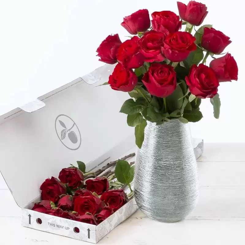 Valentine's Day Gift Subscription Offer