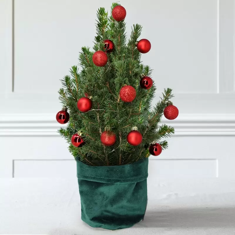 Medium Christmas Tree with 14 Christmas Red Baubles
