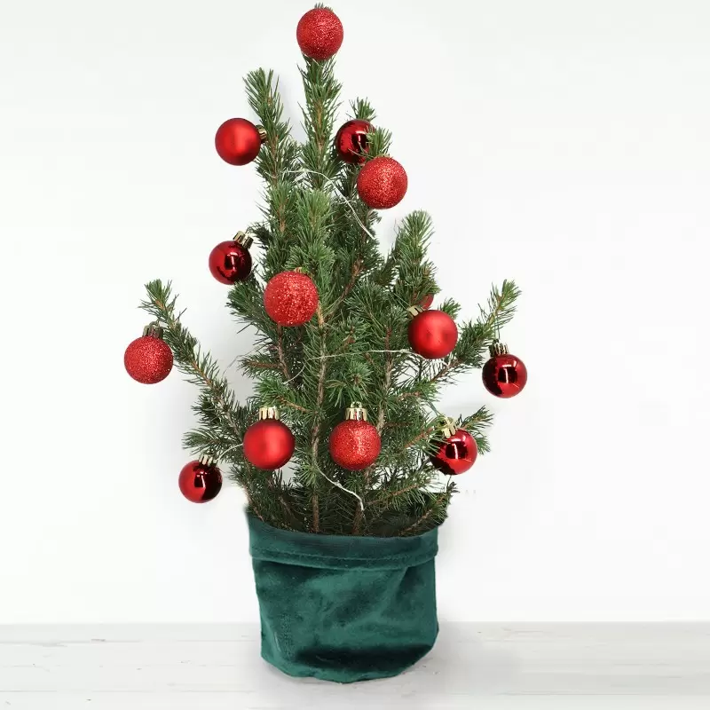 Medium Christmas Tree with 14 Christmas Red Baubles