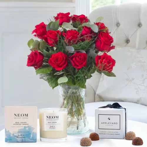 SPECIAL DEAL - Luxury Garden Roses - Premier Collection - Pack of