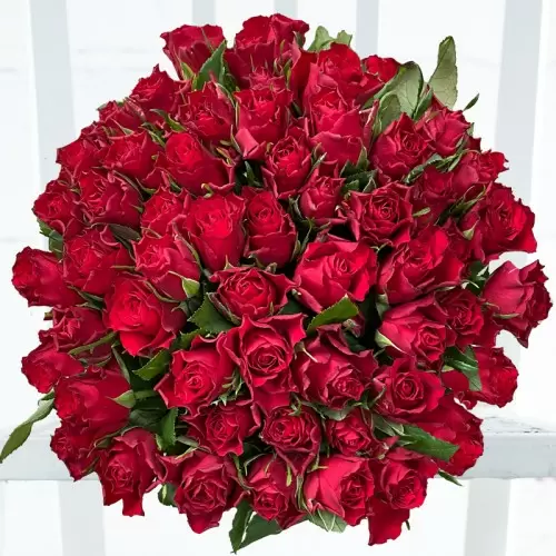 Bunch Of Roses | Luxury Rose Bouquet Delivery | Appleyard Flowers