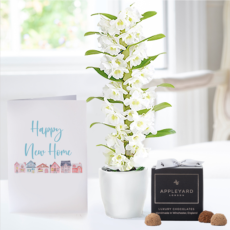 White Scented Dendrobium Orchid in Pot, 12 Truffles & New Home Card image