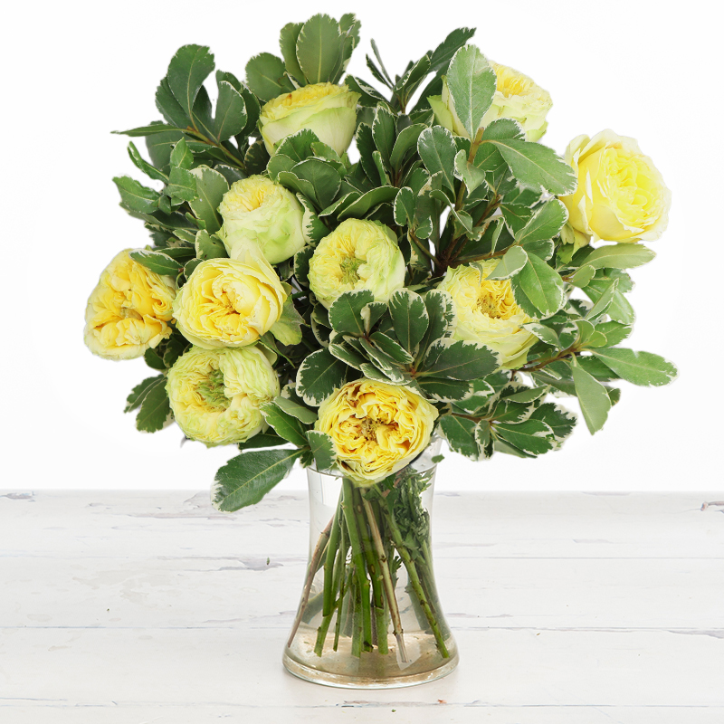 12 Lemon Roses image