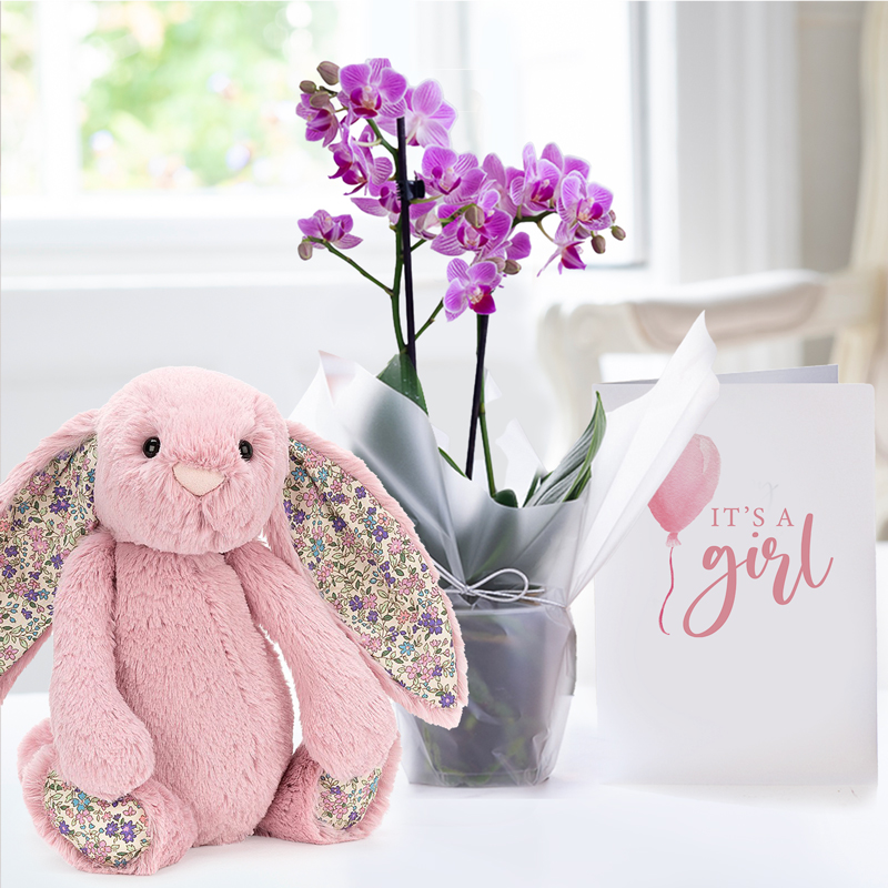 Gift Wrapped Mini Pink Orchid, Jellycat Blossom Bunny & New Baby Girl Card image