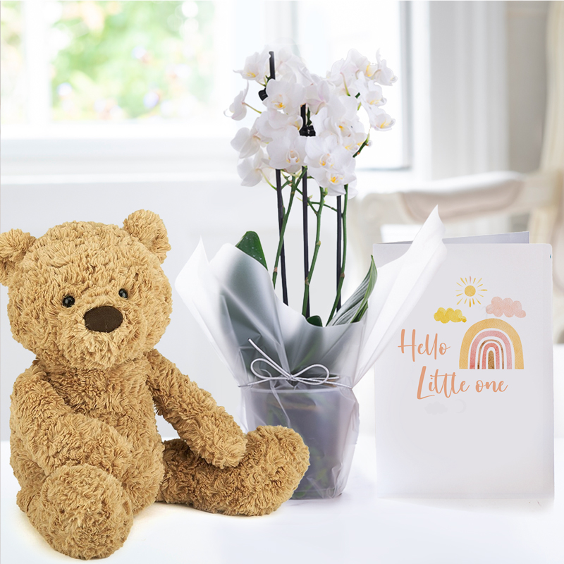Gift Wrapped Mini White Orchid, Jellycat Bumbly Bear (Medium) & Hello Little One Card image