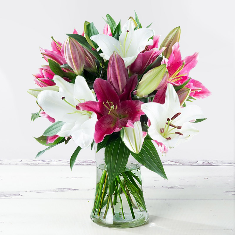 Mixed Lily Bouquet image