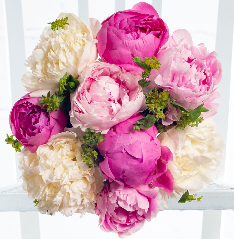 Peony Trio image