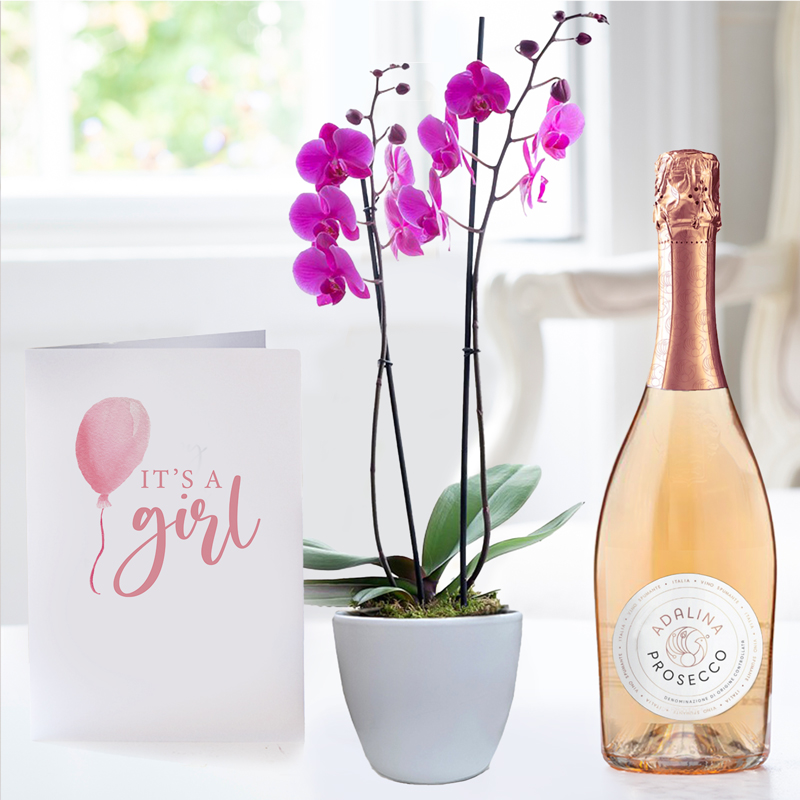 Double Stem Pink Orchid in Pot, Prosecco Rosé & Baby Girl Card image