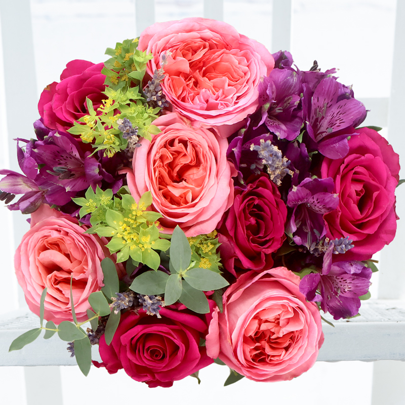 Pomegranate Peony Rose | Vibrant Summer Flowers | Next Day Flower Delivery UK - Appleyard London