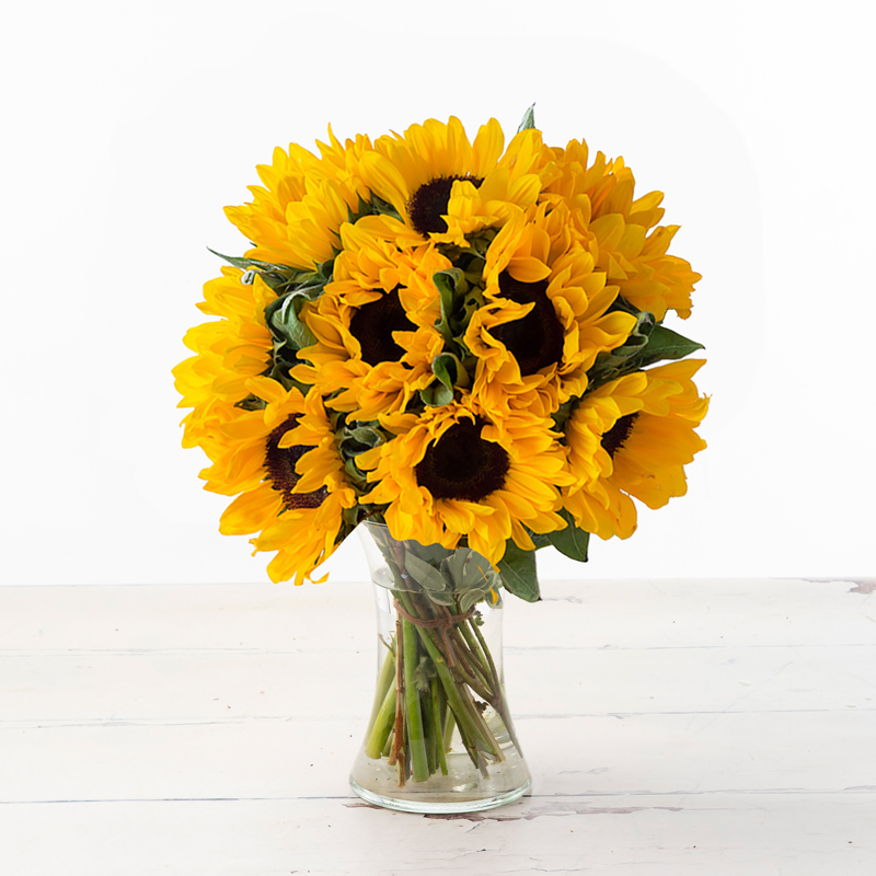 Simply Sunflowers image