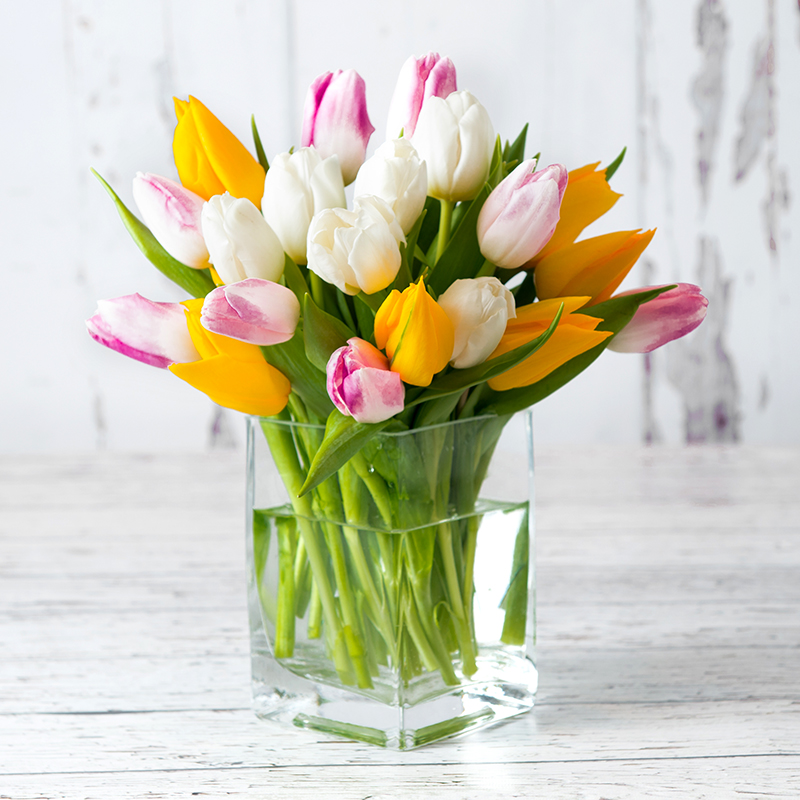 Springtime Tulips image