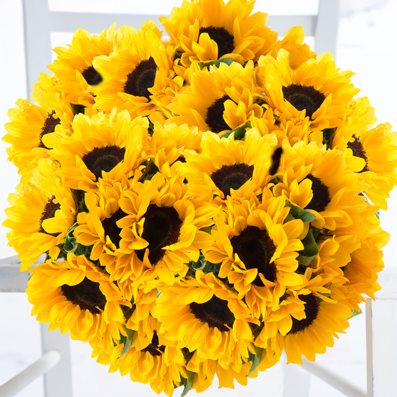 Luxury Summer Flower Bouquet - Autumn Sunflowers Grande - Yellow - Sunflowers - Next Day Flower Delivery UK - Appleyard London
