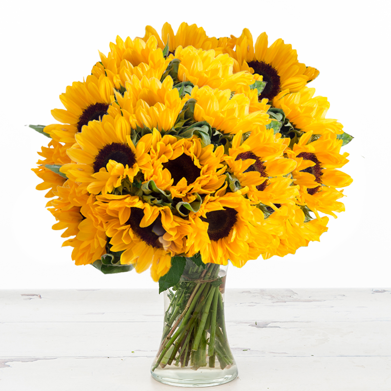 Luxury Summer Flower Bouquet - Simply Sunflowers Grande - Yellow, Vibrant - Sunflowers - Next Day Flower Delivery UK - Appleyard London