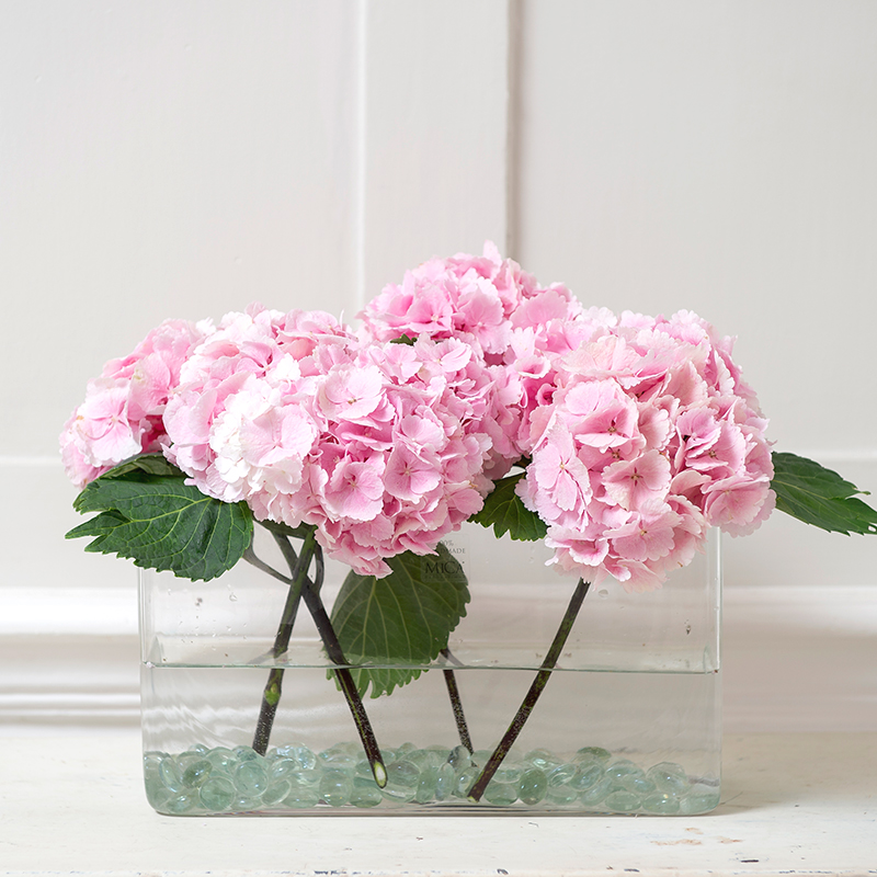 Pink Hydrangea DIY Kit - Create Your Own Flower Display In Glass Vase - Hydrangea - Flower Bouquet - Next Day Flower & Gift Delivery UK - Appleyard