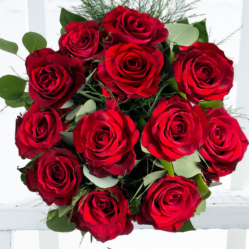 12-24 Large Headed Red Roses image