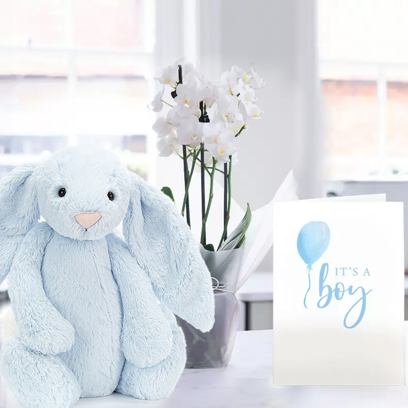 White Mini Orchid, Jellycat Blue Bunny & New Baby Boy Card image