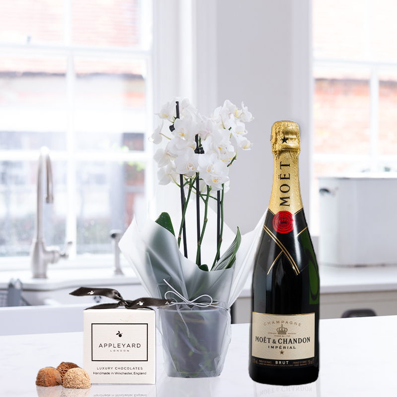 Mini White Orchid (20-25cm), Moët & Chandon & 6 Mixed Truffles image