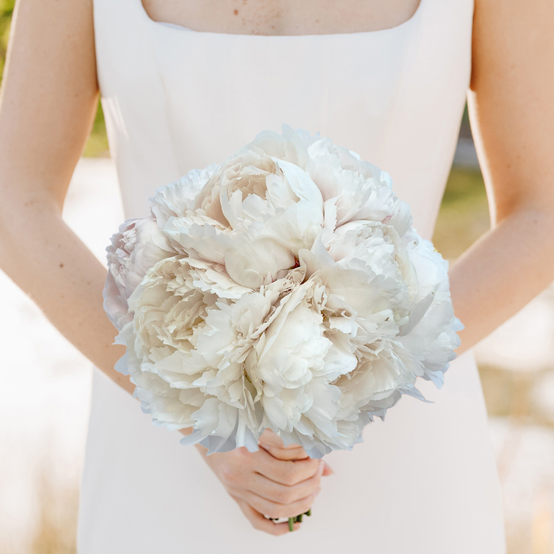 Pink Peony & Gypsophila Collection - White - Wedding Flower Bouquet
