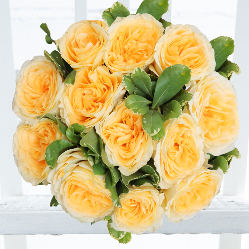 12-24 Lemon Pink Peony Garden Roses Bouquet - Yellow - Next Day Flower Delivery UK - Appleyard London