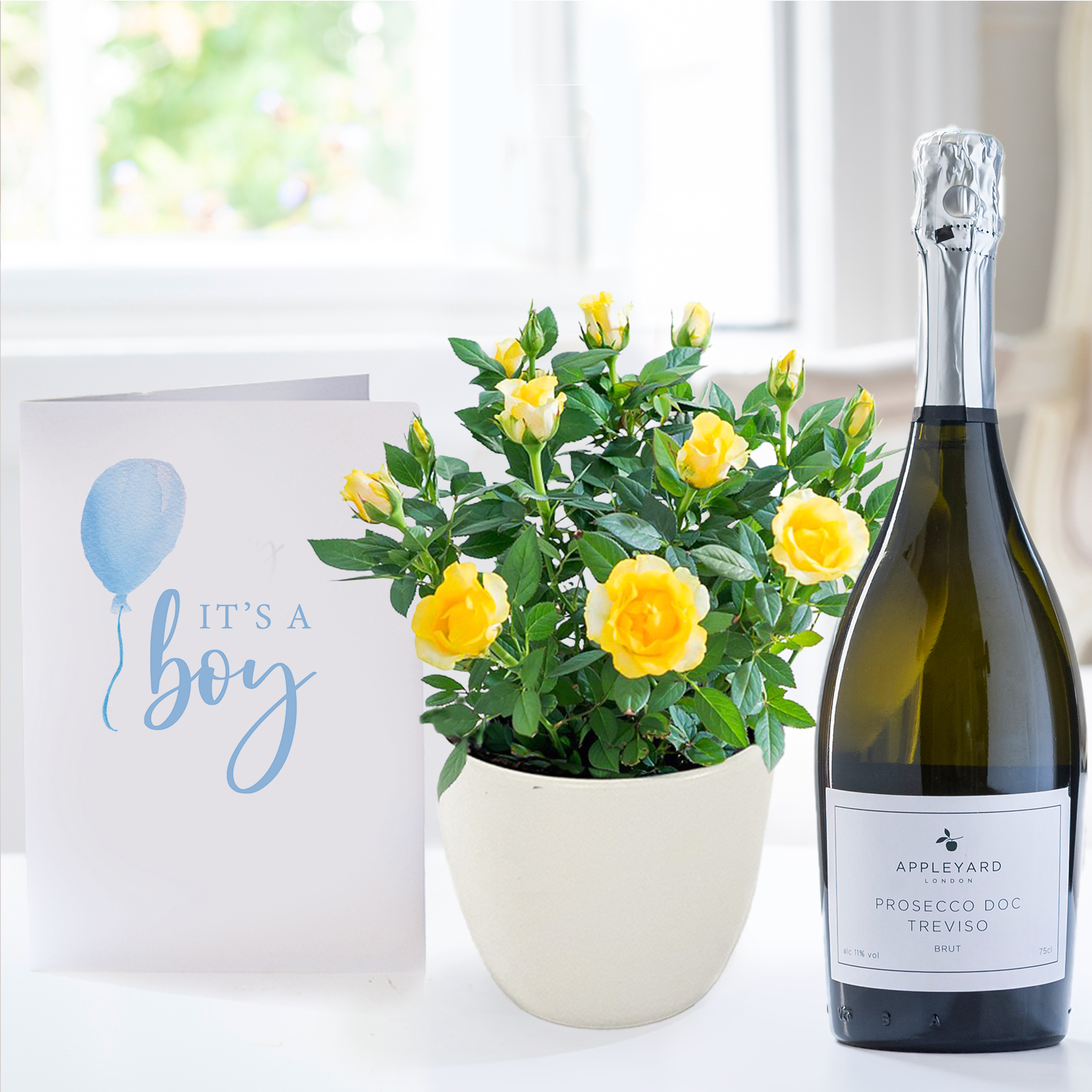Yellow Rose Plant in Pot, Appleyard Prosecco & Baby Boy Card image